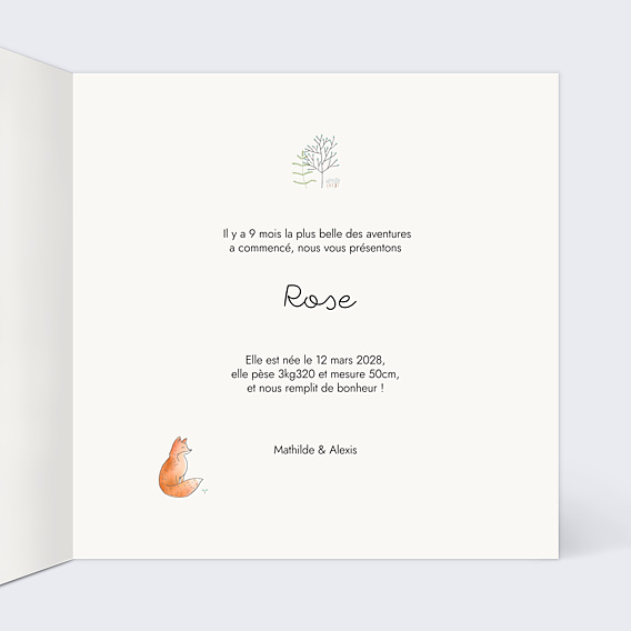 Faire-part Naissance Couronne renard