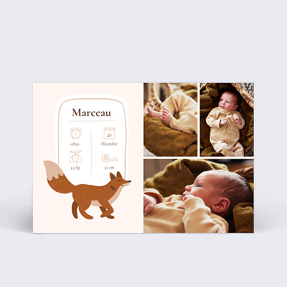 Faire-part Naissance Renard picto
