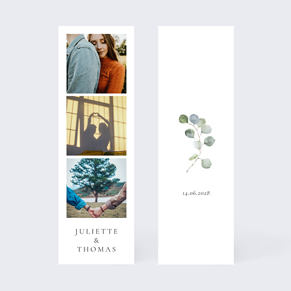 Faire part pacs Cadre ocre eucalyptus