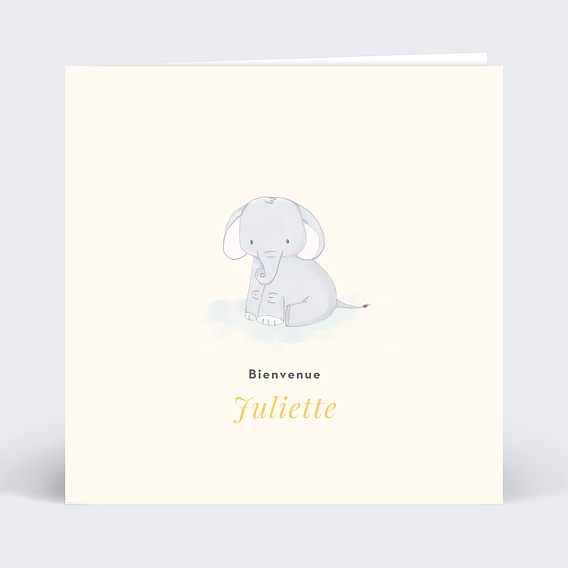 Carte félicitations naissance Baby Éléphant