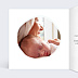 Félicitations Naissance Baby Éléphant