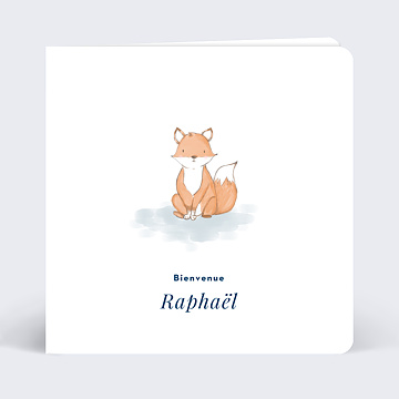 Baby Fox