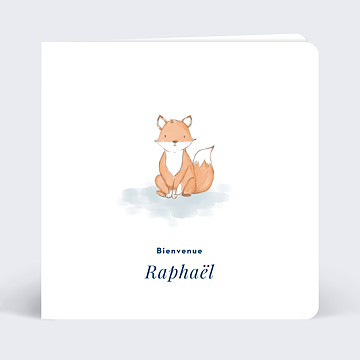 Carte félicitations naissance Baby Fox