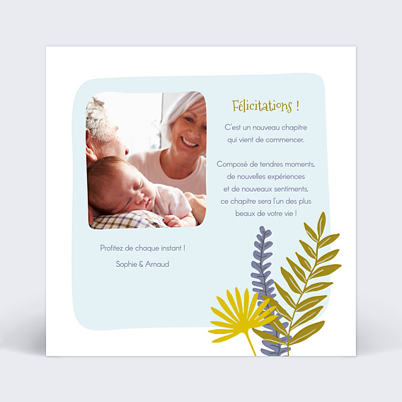 Félicitations Naissance Paresseux Original