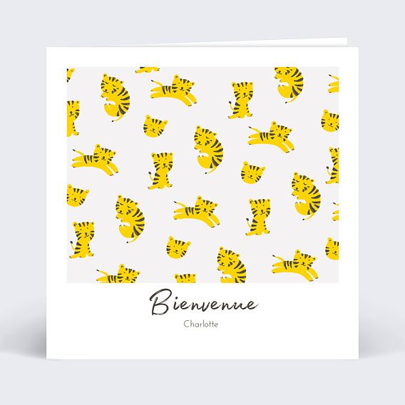 Carte félicitation naissance Graouu Recto