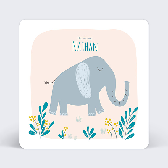 Félicitations Naissance Éléphant Original