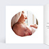 Carte félicitations naissance Baby Éléphant Intérieur Gauche