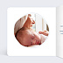 Carte félicitations naissance Baby Fox Intérieur Gauche