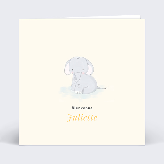 Félicitations Naissance Baby Éléphant