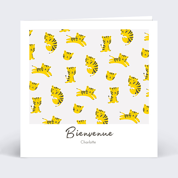 Félicitations Naissance Graouu
