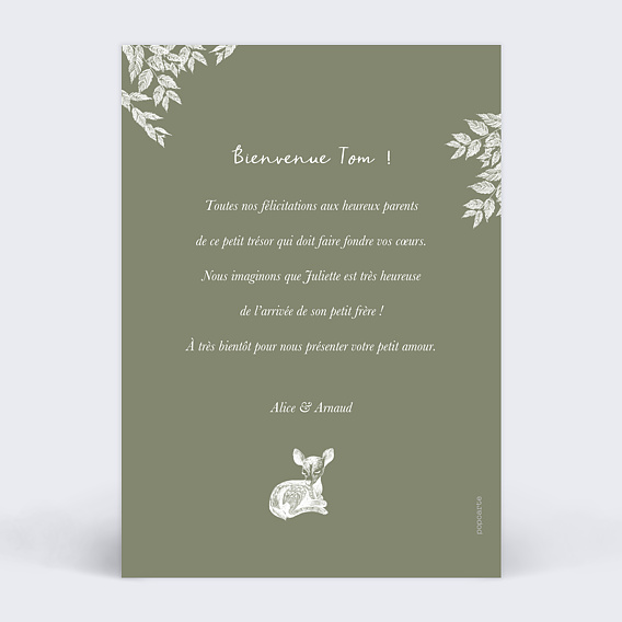 Carte félicitation naissance Crayon Blanc Verso