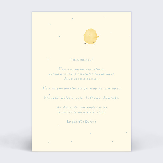 Carte félicitation naissance Poussin Verso