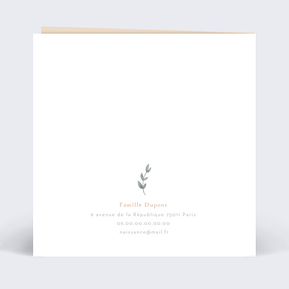 Félicitations Naissance Petite Prairie