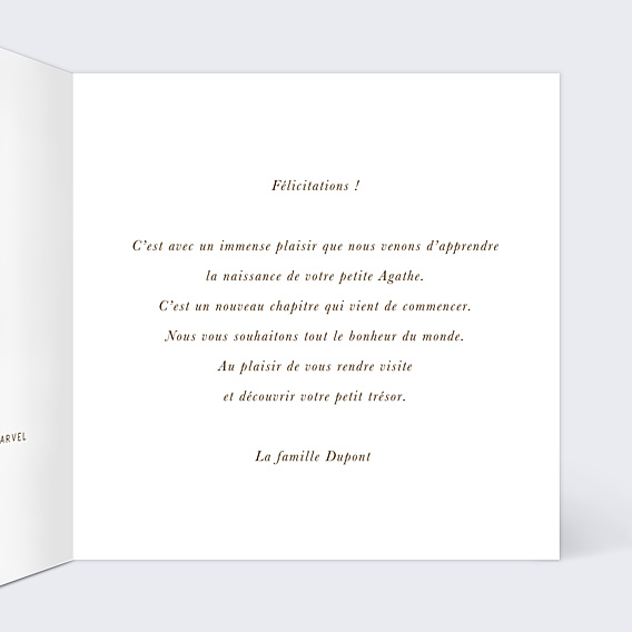 Félicitations Naissance Pattern Renardeau