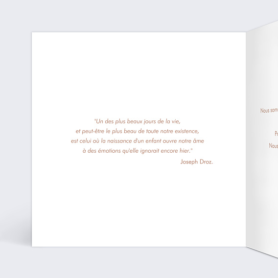 Carte félicitation naissance Hochet Koala Intérieur Gauche