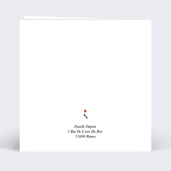 Carte félicitation naissance Bébé de la montagne Verso