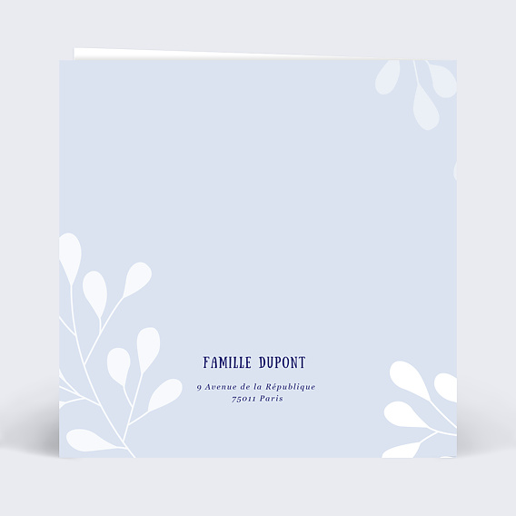 Carte félicitation naissance Petit Bol Verso