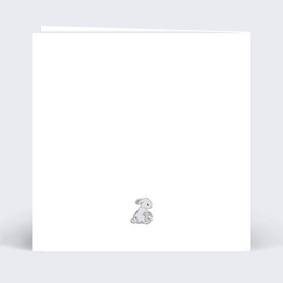 Félicitations Naissance Petits Lapins