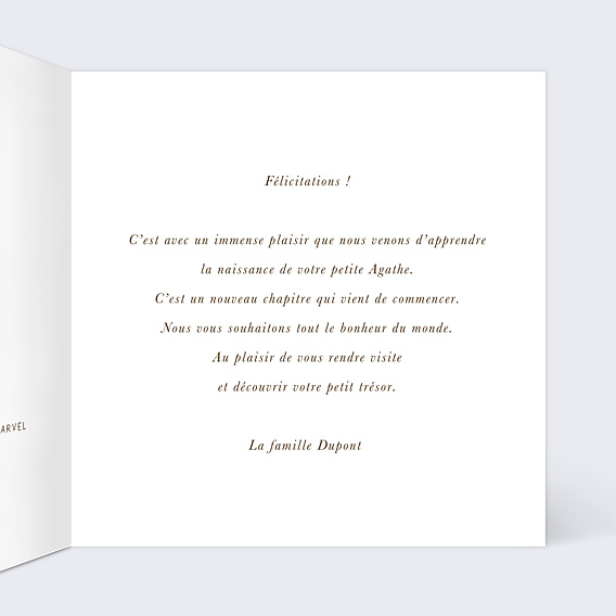 Carte félicitation naissance Pattern Renardeau Intérieur Droit