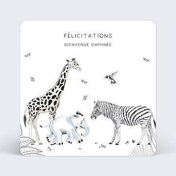 Félicitations Naissance Animaux Sauvages
