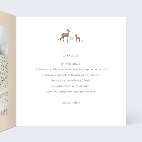 Carte félicitation naissance Petite Prairie Intérieur Droit