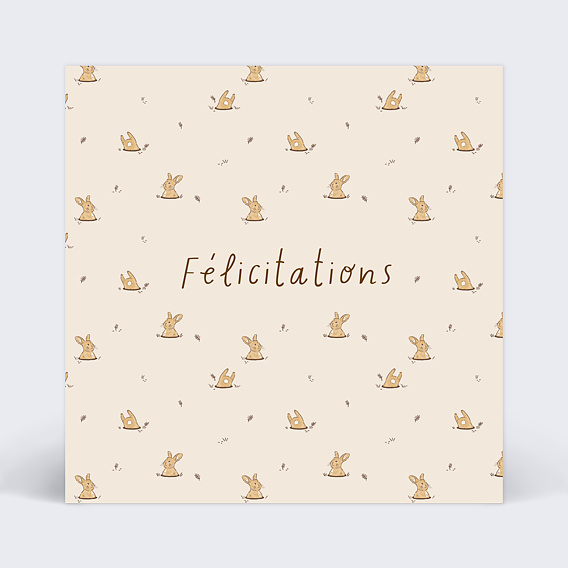 Carte félicitation naissance Lapin dans son Terrier Recto