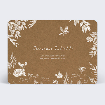 Félicitations Naissance Crayon Blanc Kraft