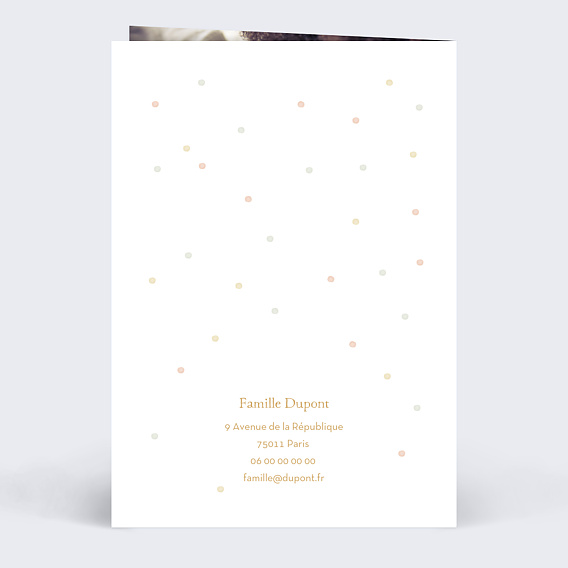 Carte félicitation naissance Famille Ours Verso