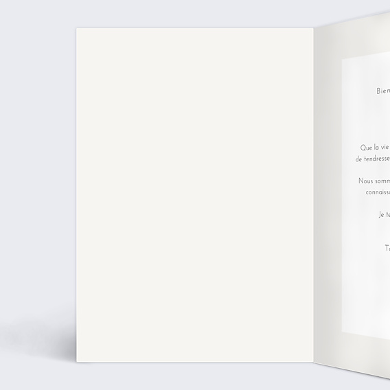 Carte félicitation naissance Animaux Pattern Intérieur Gauche