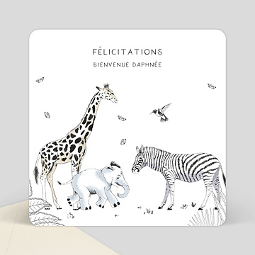 F�licitations Naissance Animaux Sauvages