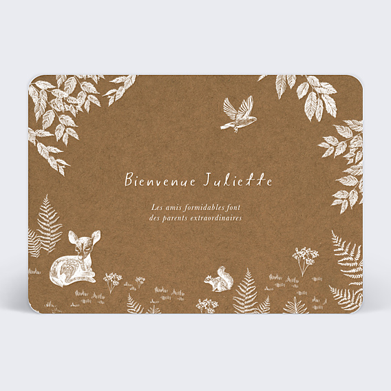 Carte félicitation naissance Crayon Blanc Kraft