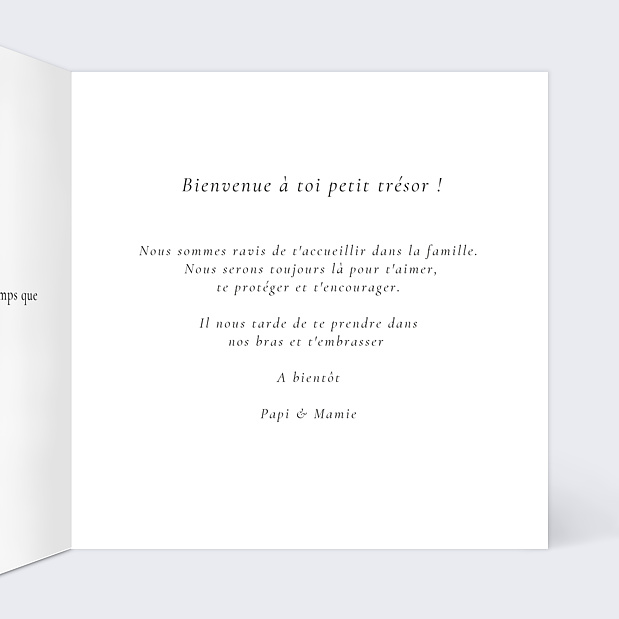 Félicitations Naissance Marinière Intérieur Droit