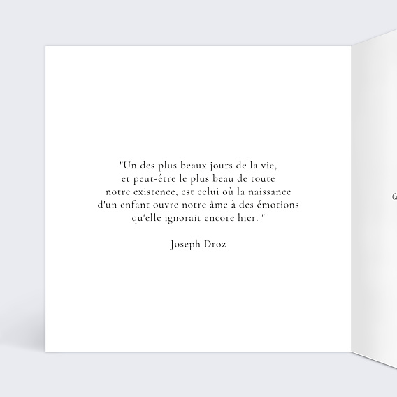 Carte félicitation naissance Lion Intérieur Gauche