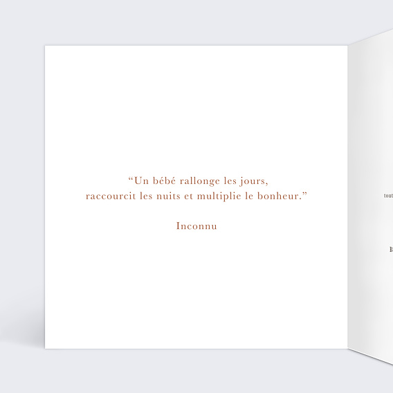 Carte félicitation naissance Renard Intérieur Gauche