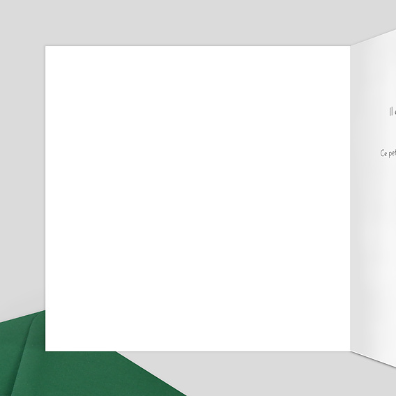 Carte félicitation naissance Tanzanie Intérieur Gauche