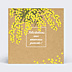 Félicitations Naissance Mimosa