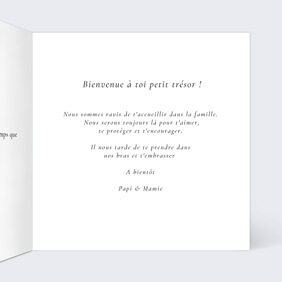 Carte félicitation naissance Marinière Intérieur Droit