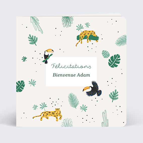 Félicitations Naissance Jungle Secrète