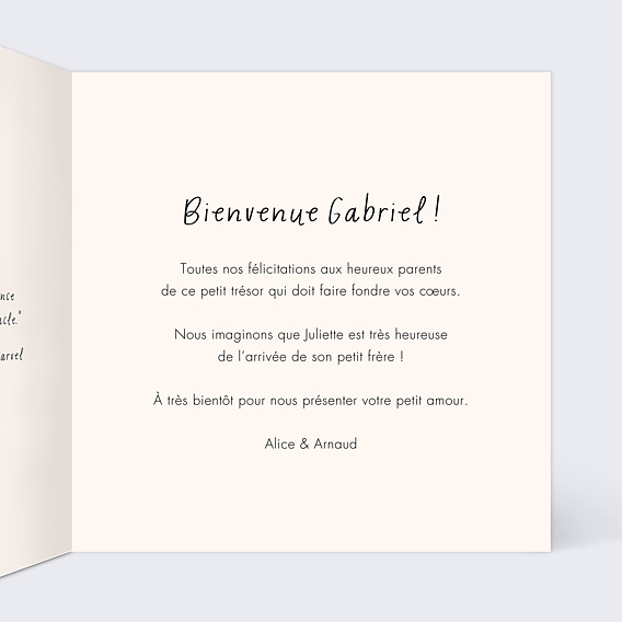 Carte félicitation naissance Petit Lion Intérieur Droit