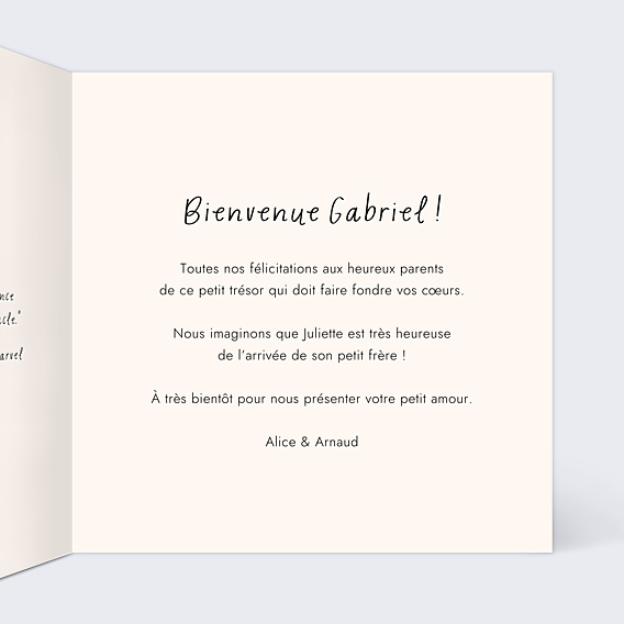 Félicitations Naissance Petit Lion