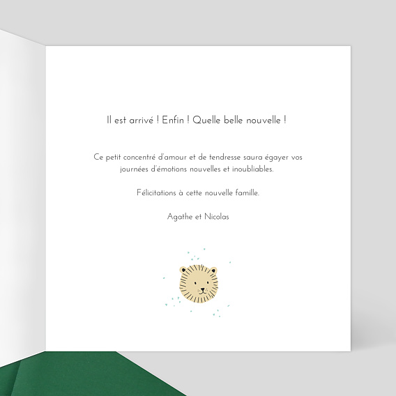 Carte félicitation naissance Tanzanie Intérieur Droit