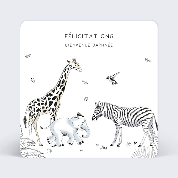 Félicitations Naissance Animaux Sauvages