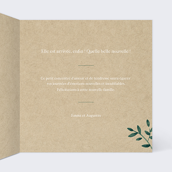 Félicitations Naissance Ombrage