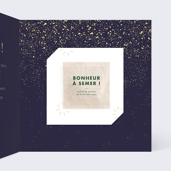 Invitation anniversaire Pluie de fête avec graines Intérieur Droit