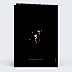 Invitation Anniversaire Adulte Motif Noir & Or Photo