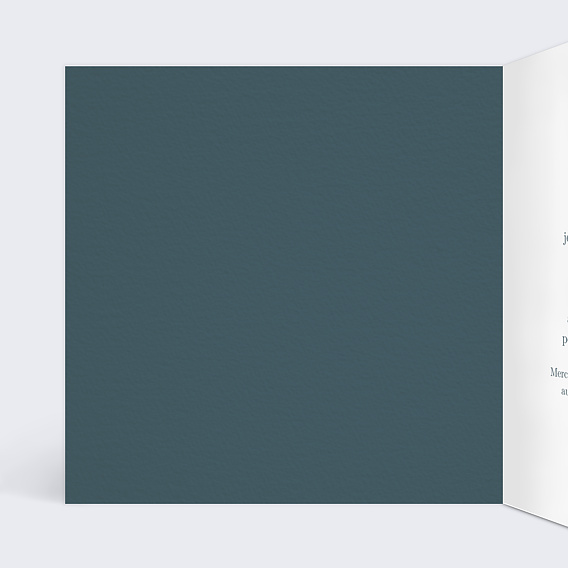 Invitation anniversaire Cadre Élégant Intérieur Gauche