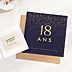 Invitation Anniversaire Adulte Pluie de fête avec graines