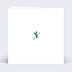 Invitation Anniversaire Adulte Cactus