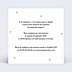 Invitation anniversaire Surprise chic Verso