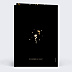 Invitation Anniversaire Adulte Motif Noir & Or Photo